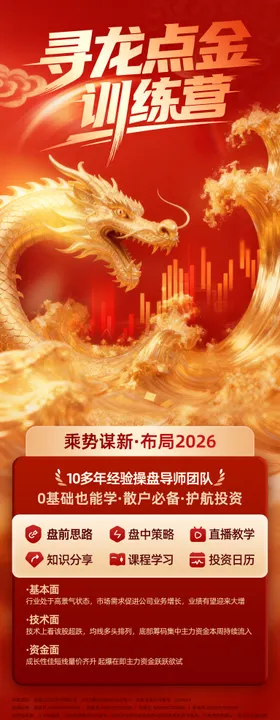 寻龙点金投顾服务投教产品服务介绍海报