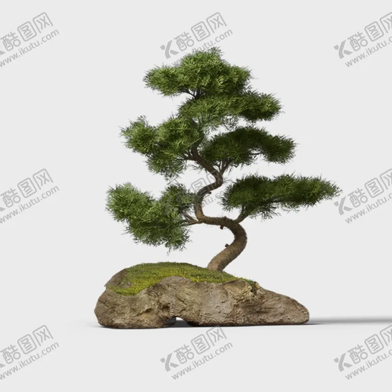 编号：76395501270232353447【酷图网】源文件下载-松树设计素材PNG