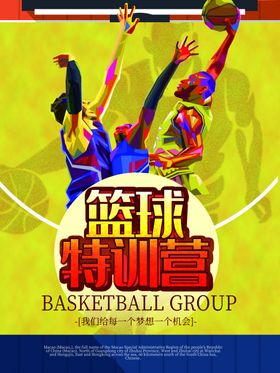 安徽雏翔篮球青训营logo