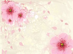 牡丹花梅花背景墙壁纸礼品袋印花