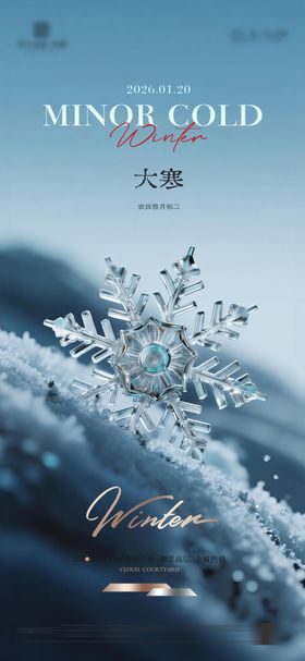 地产大寒质感节气海报