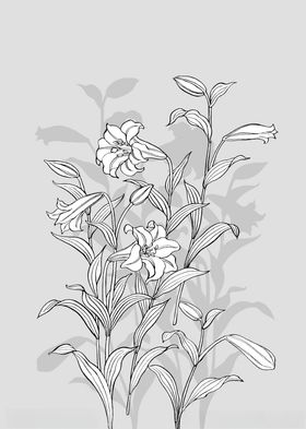 日本线描植物花卉矢量素材