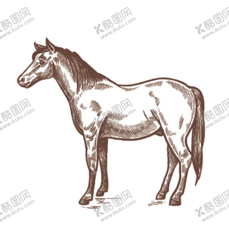 编号：51262206240838441703【酷图网】源文件下载-家养动物主题插画