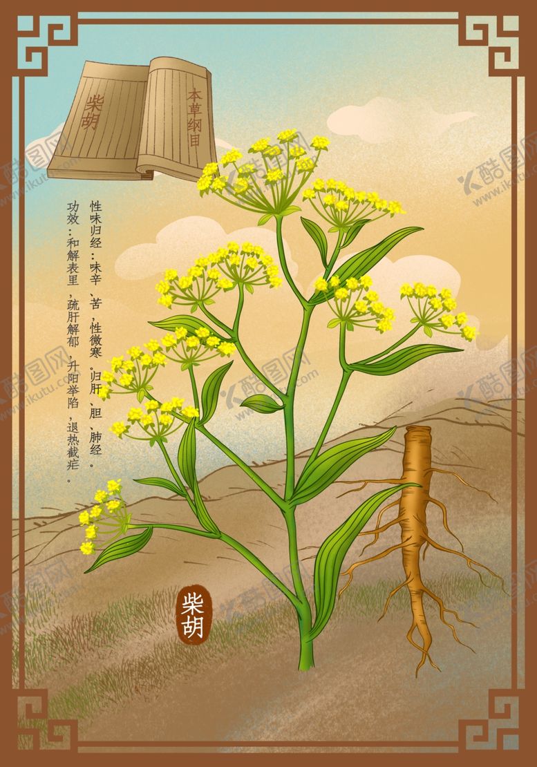 编号：22244401251430168796【酷图网】源文件下载-草药柴胡