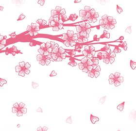 樱花