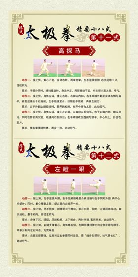 中华精髓太极拳招式详解