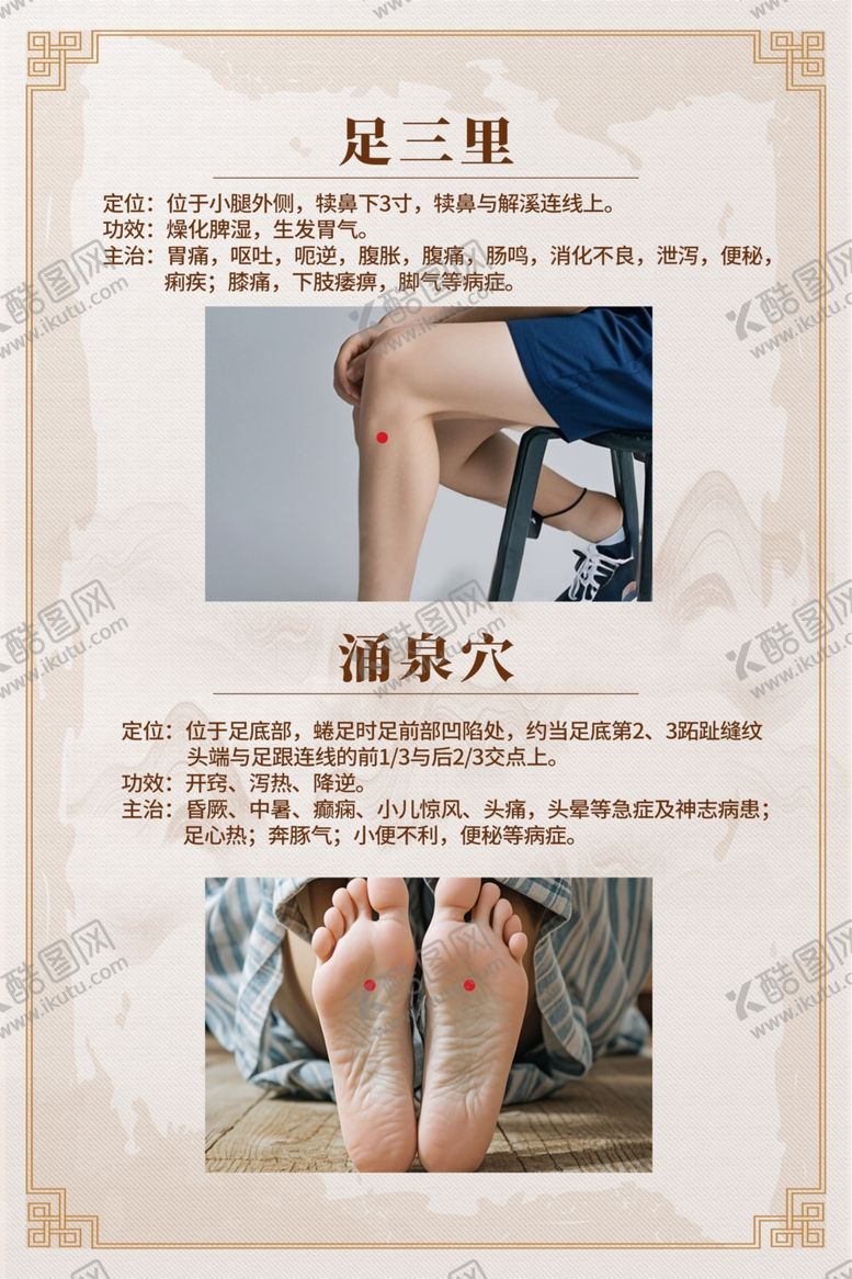 编号：97501401260246091190【酷图网】源文件下载-常用穴位解析