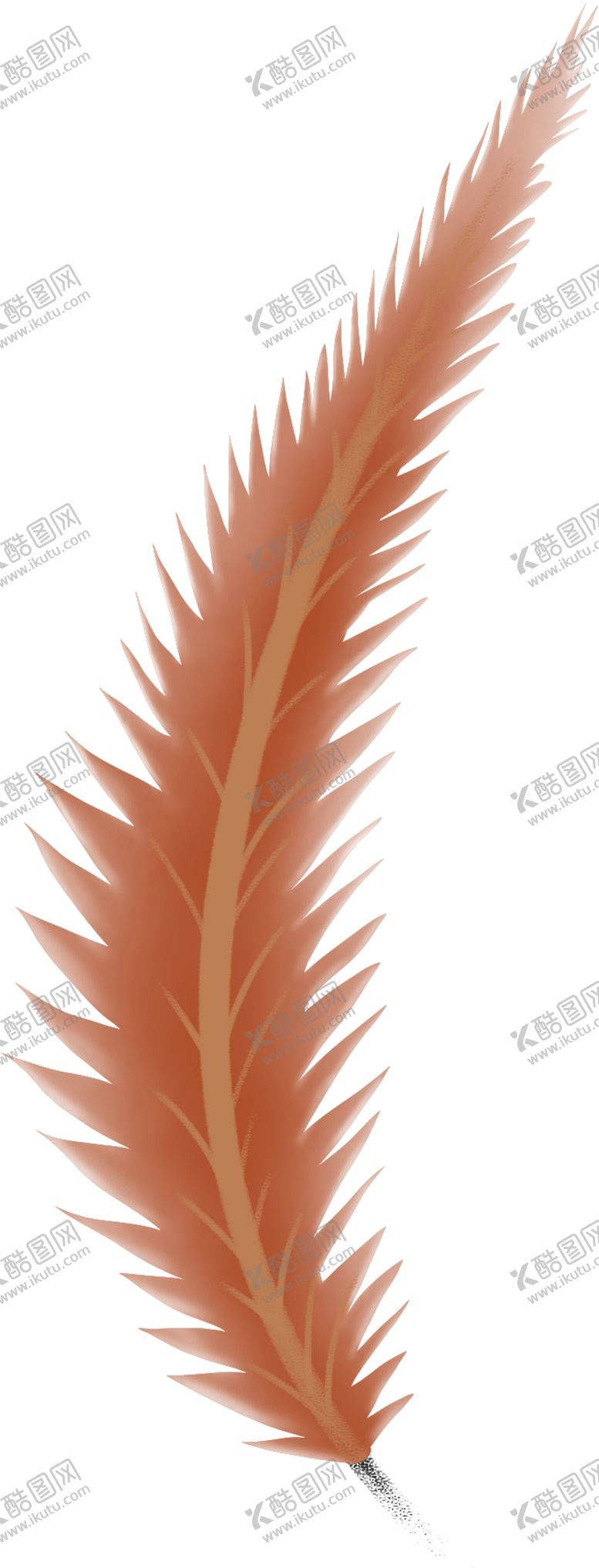 编号：35375910141457098624【酷图网】源文件下载-羽毛图片