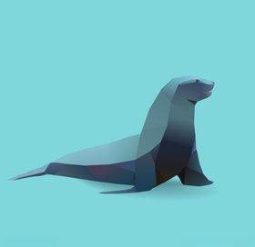 海狮