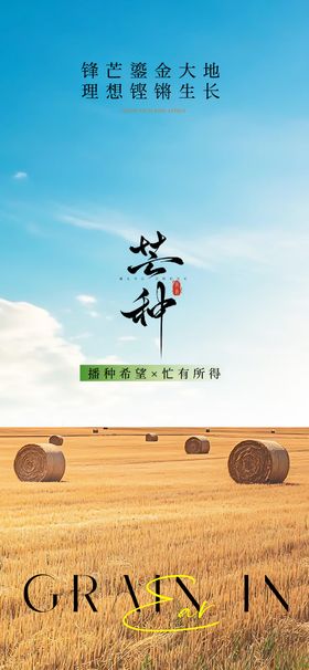 芒种节气单图 