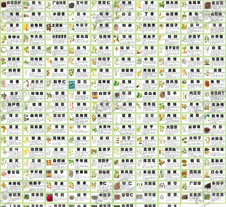 编号：17476107130806426335【酷图网】源文件下载-中草药标签简介
