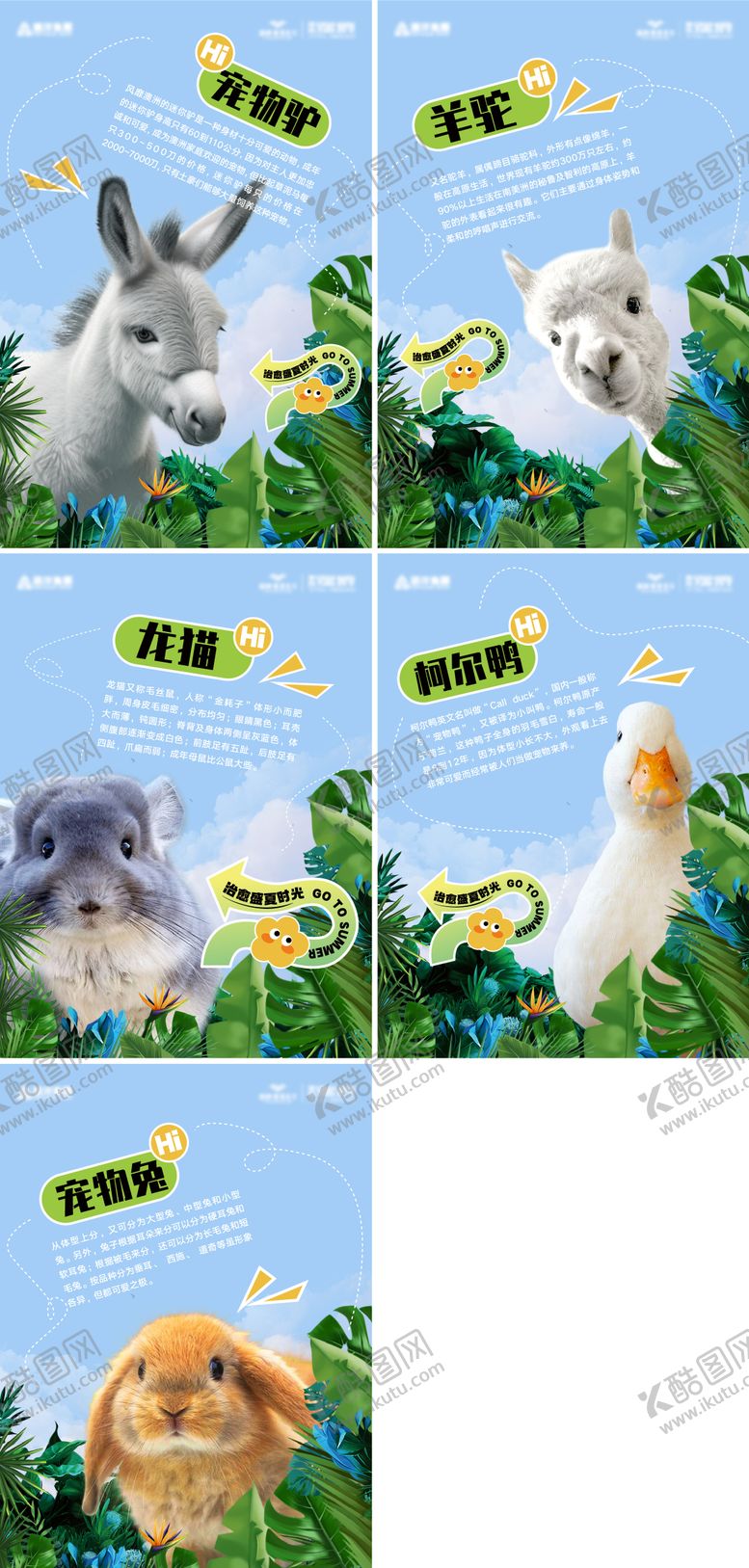 编号：41030006142314449577【酷图网】源文件下载-萌宠活动宣传系列海报