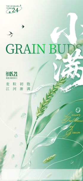 小满节气创意二十四海报简约