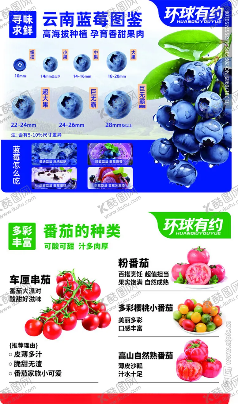 编号：20929003090158352224【酷图网】源文件下载-蓝莓番茄科普