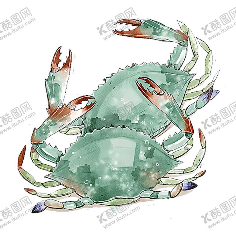 编号：64072210022323363977【酷图网】源文件下载-绿色装饰