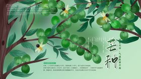 芒种海报