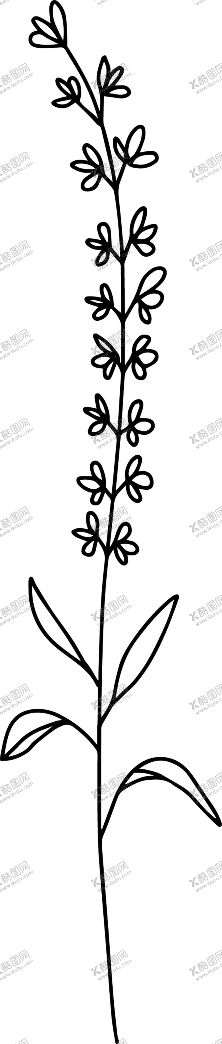 编号：66015704072044517303【酷图网】源文件下载-手绘花藤花纹