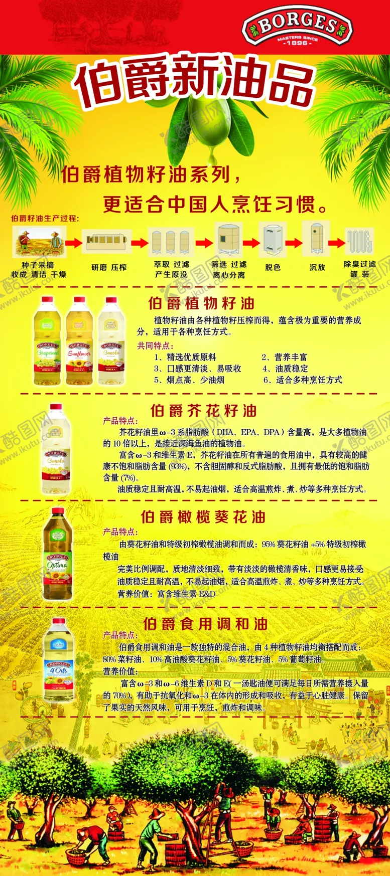编号：14274501310214135037【酷图网】源文件下载-橄榄油海报