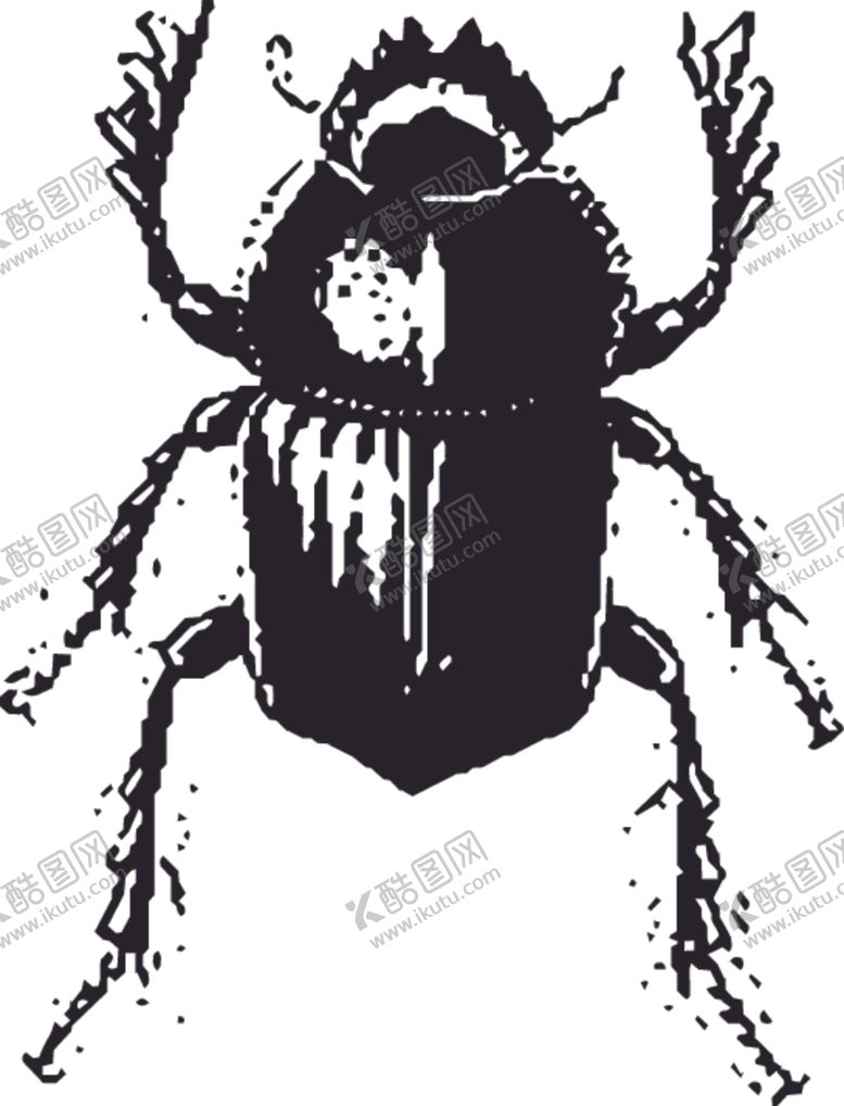 编号：63055610310820226566【酷图网】源文件下载-自然昆虫标本插画