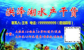洪泽湖