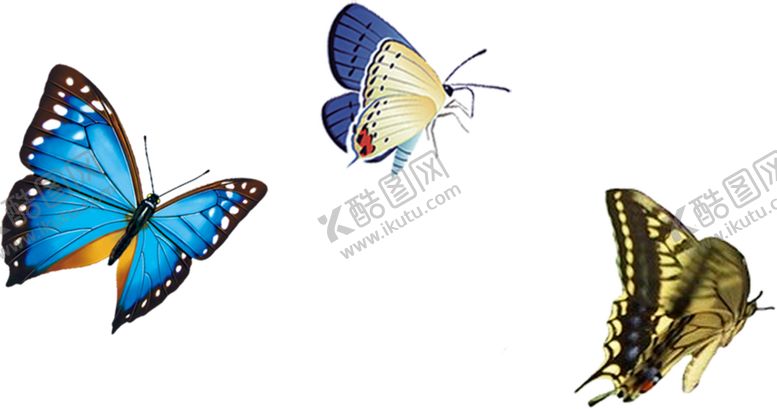 编号：29283210041223325660【酷图网】源文件下载-化蝶