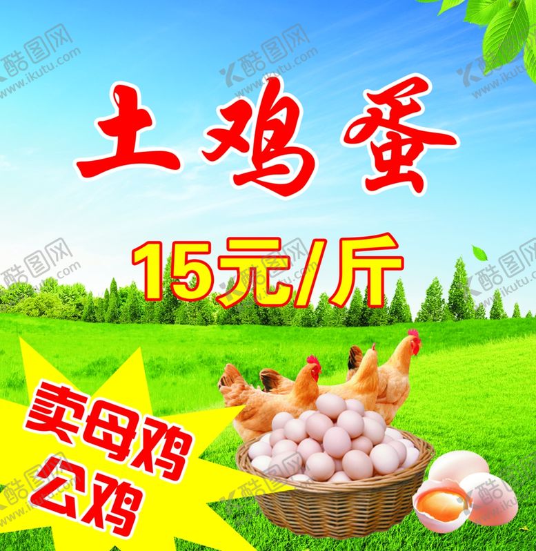 编号：12088105160653317973【酷图网】源文件下载-鸡蛋