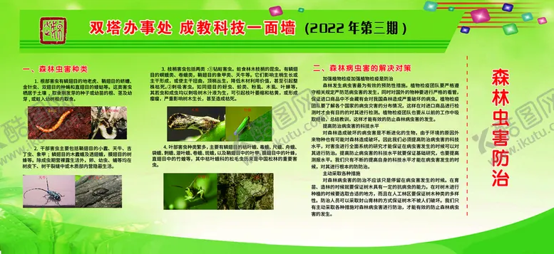 编号：02547110120105598306【酷图网】源文件下载-森林虫害防治展板