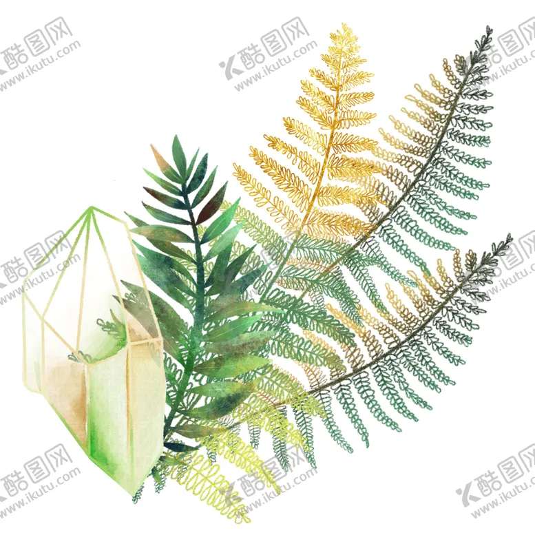 编号：13075312291832385225【酷图网】源文件下载-蕨类植物插画素材