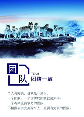 狼性文化