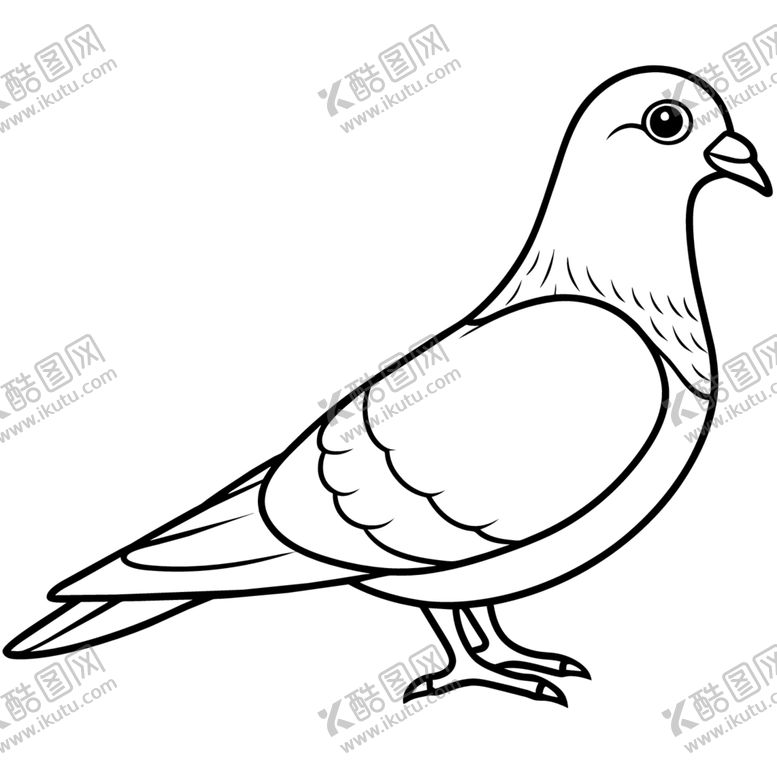 编号：94203401150624341173【酷图网】源文件下载-鸽子线稿图