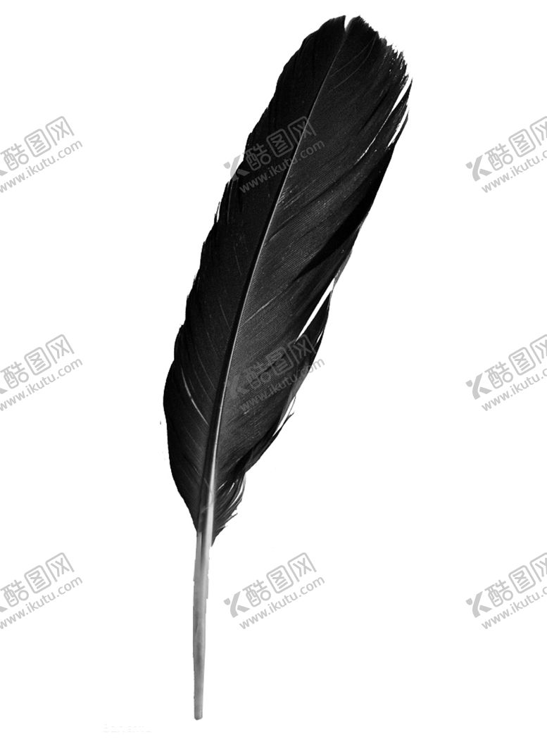 编号：35672910051959278844【酷图网】源文件下载-羽毛素材