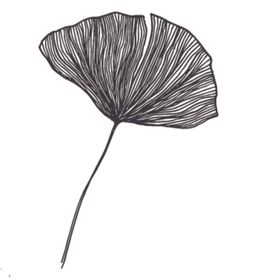 简笔绘画植物花朵图谱