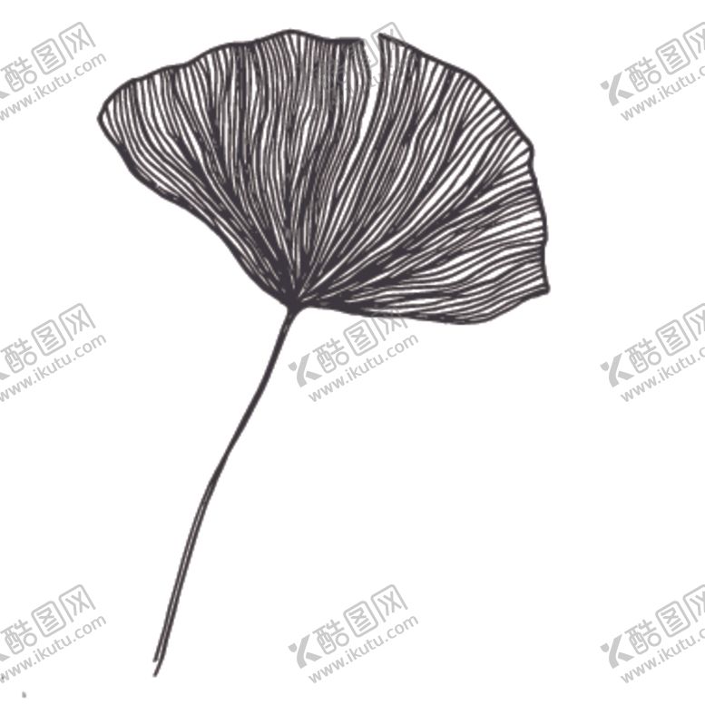 编号：89630310230326003524【酷图网】源文件下载-简笔绘画植物花朵图谱