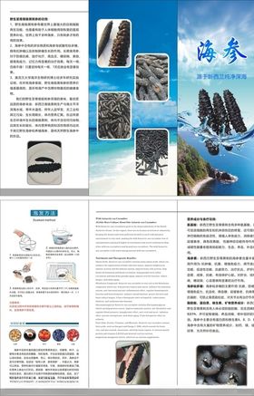 海参三折页