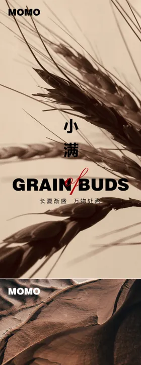 小满