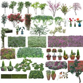 园林景观树木植物绿化图片