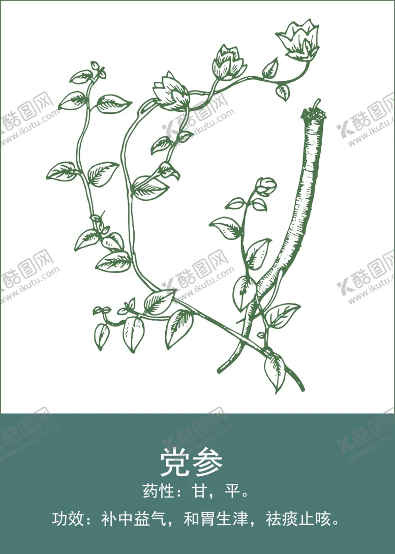 编号：97112901140345215777【酷图网】源文件下载-中药手绘插画