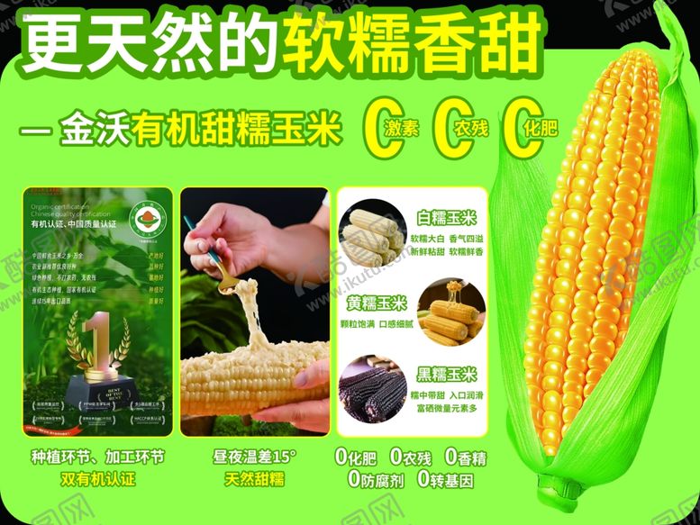 编号：45153204100147352373【酷图网】源文件下载-玉米