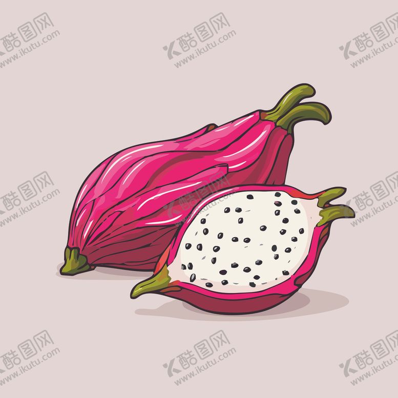编号：95415802040302501537【酷图网】源文件下载-火龙果水果手绘矢量插画