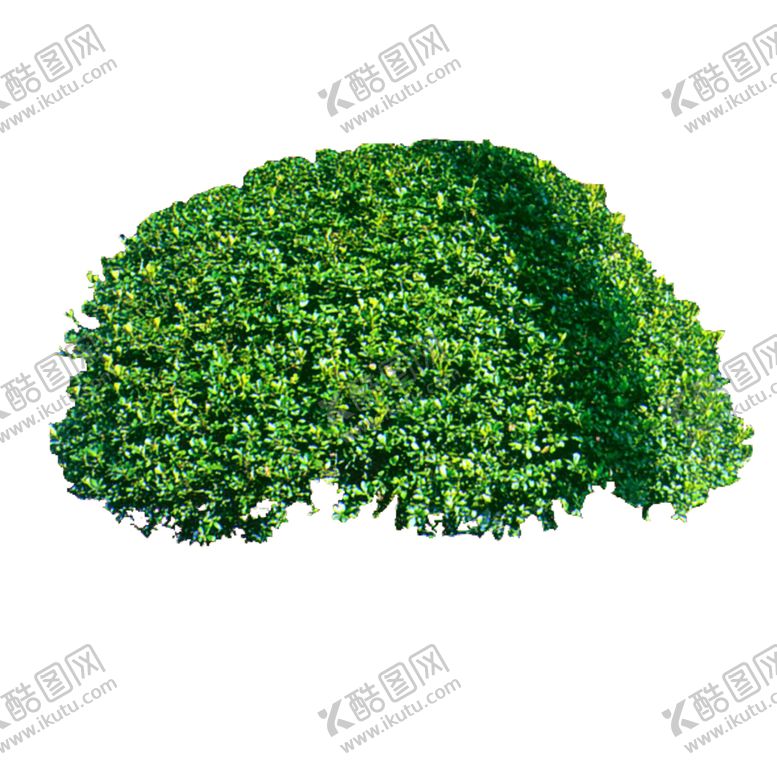 编号：97407709200759442551【酷图网】源文件下载-绿色相框