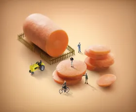 食物海报香蕉短筒灯笼椒梯子