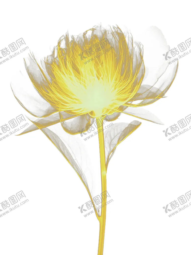 编号：61472806281859287111【酷图网】源文件下载-火焰
