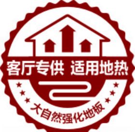 大自然地板客厅专供