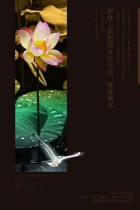 创意档次荷花房产文案宣传海报