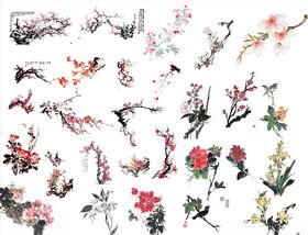 梅花图片