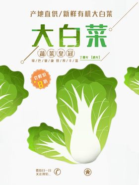 大白菜