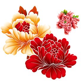 牡丹素材