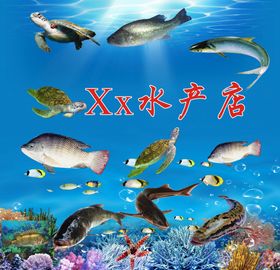 鱼鲜水产海报挂画灯