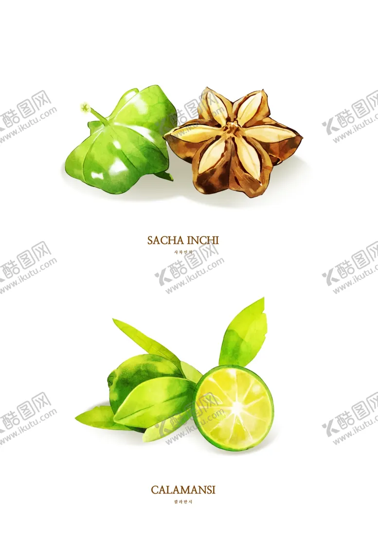 编号：78150805161142265340【酷图网】源文件下载-八角