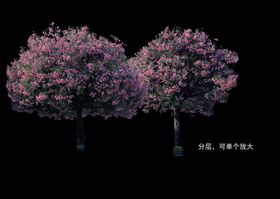 花树